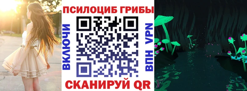 Галлюциногенные грибы Psilocybe  Купить где  Малая Вишера 